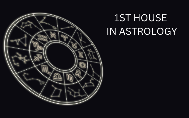 You are currently viewing 1ST HOUSE IN ASTROLOGY