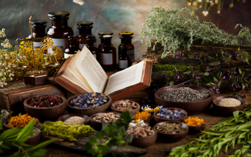 You are currently viewing 5 Must-Have Herbs for Witchcraft and Their Uses