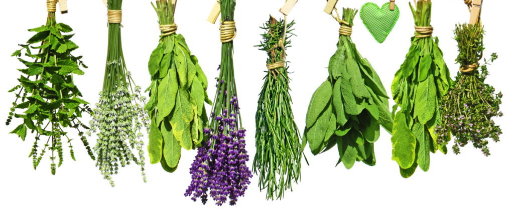 herbs for witchcraft