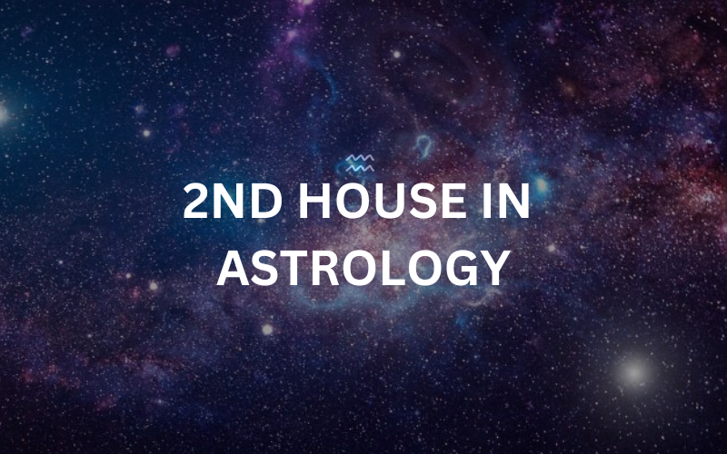 You are currently viewing 2ND HOUSE IN ASTROLOGY