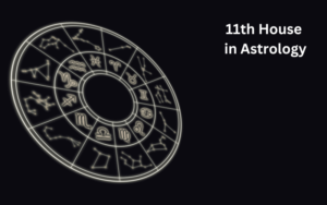 Read more about the article 11TH HOUSE IN ASTROLOGY