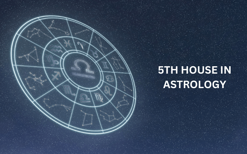 You are currently viewing 5TH HOUSE IN ASTROLOGY