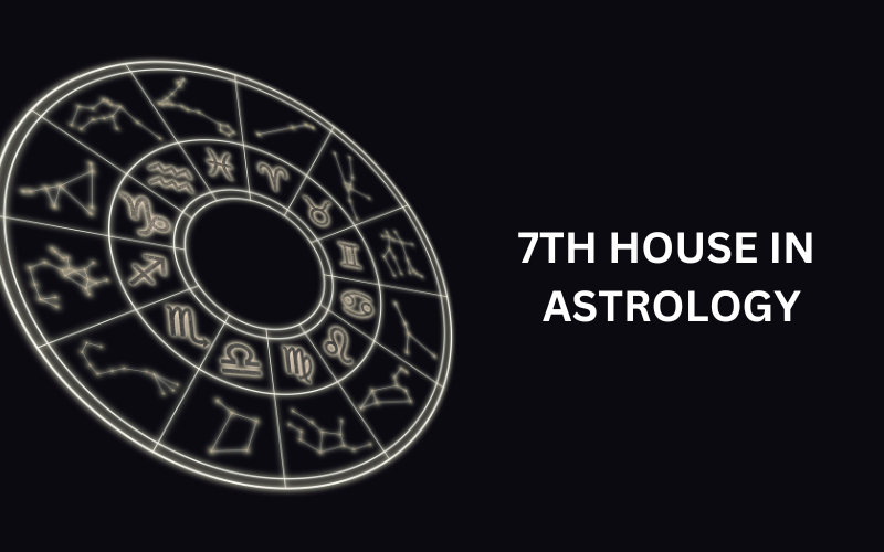 Read more about the article 7TH HOUSE IN ASTROLOGY