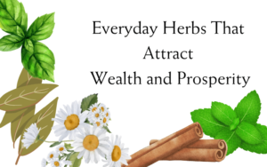 Read more about the article How to Use Everyday Herbs to Attract Wealth and Prosperity