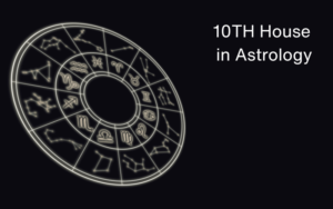 Read more about the article 10TH HOUSE IN ASTROLOGY