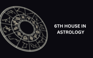 Read more about the article The 6th House in Astrology